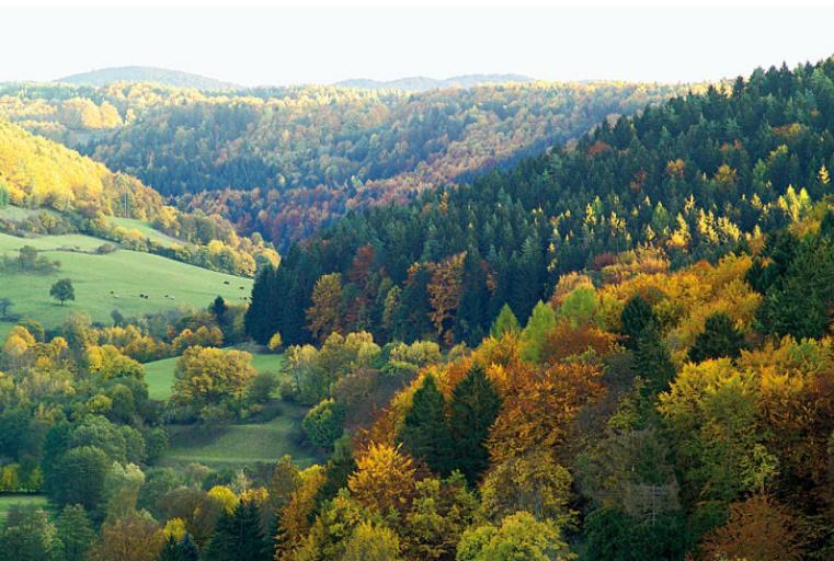Hummelcasa Ferienhaus Bayreuth Pittersdorf المظهر الخارجي الصورة
